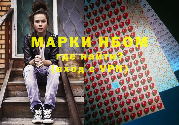 бошки Пионерский