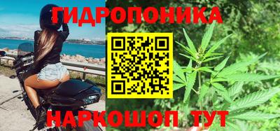 прущие грибы Беслан