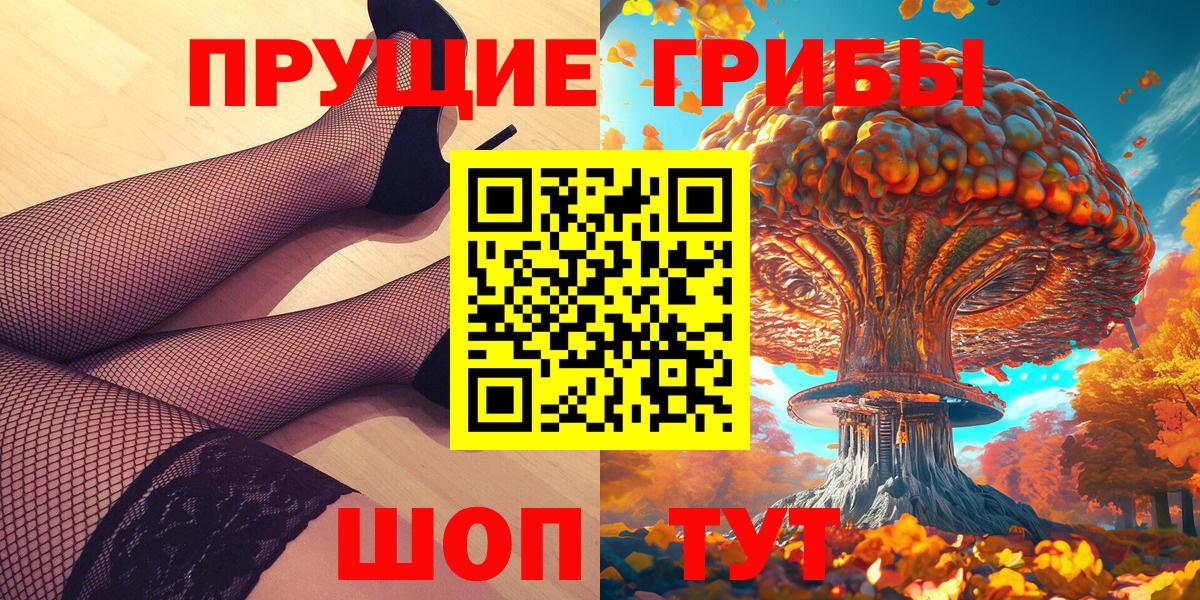 Галлюциногенные грибы Psilocybe Сертолово