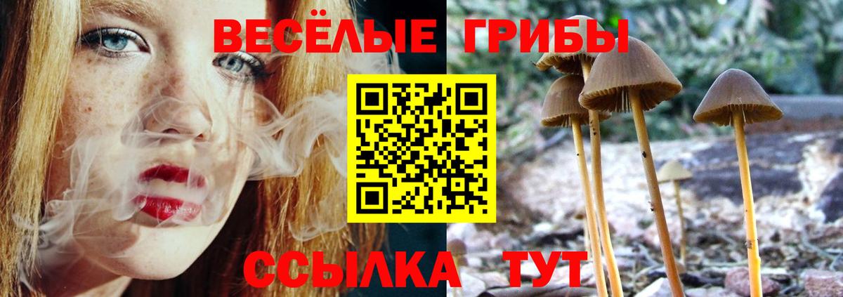 Марихуана Сертолово