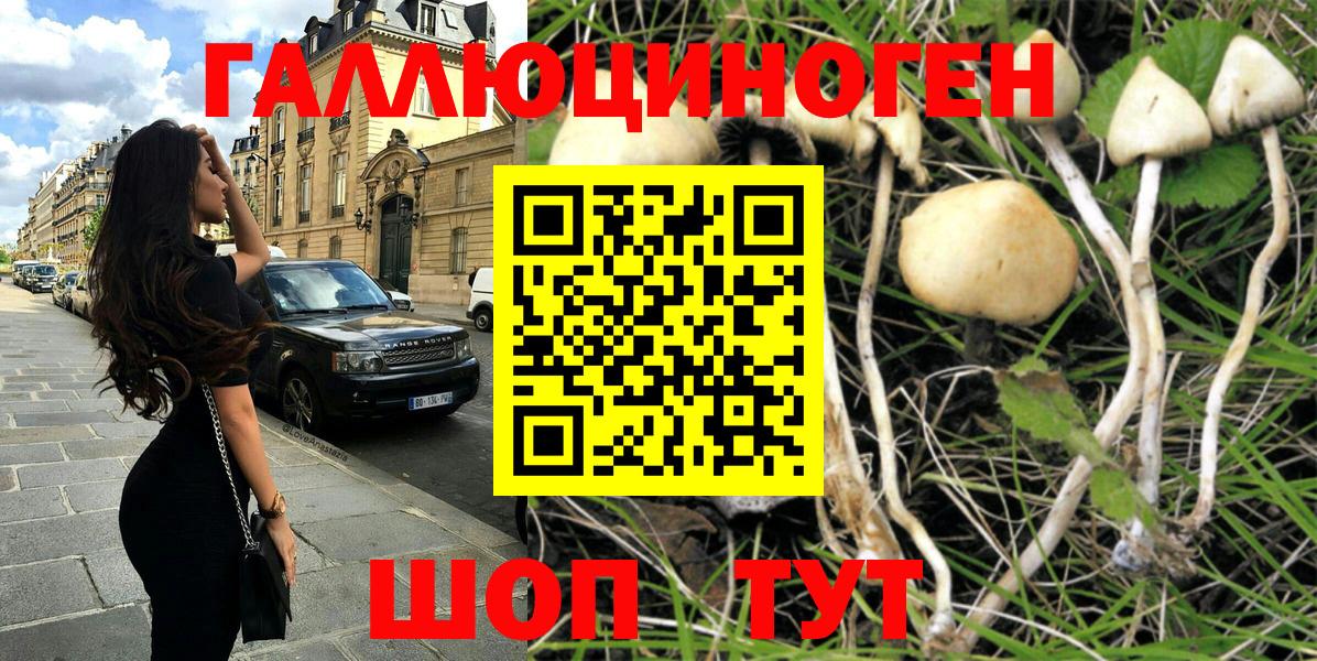 ГАШ  MDMA  МАРИХУАНА  МЕФ кристаллы  Сертолово  НБОМе  КЕТАМИН  Купить наркотик  Cocaine  АМФЕТАМИН кристаллы  Мефедрон   ТГК  A PVP СК кристаллы 