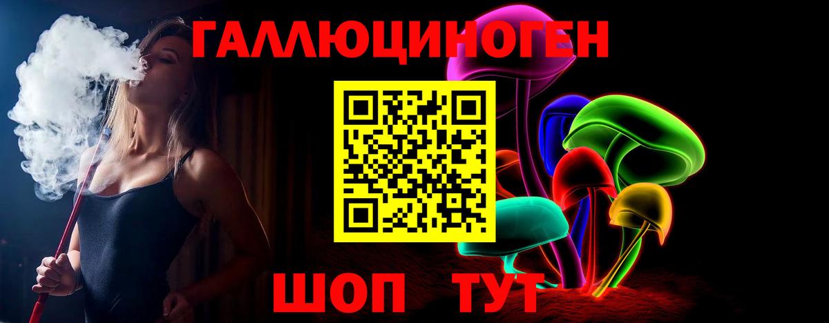 Псилоцибиновые грибы Psilocybe Сертолово